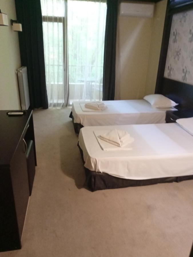 Park Hotel Stratesh Lovech Rum bild